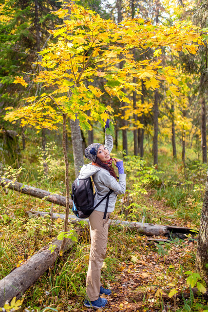 Caminante mujer joven con mochila caminando en el bosque de otoño
 - Foto, imagen