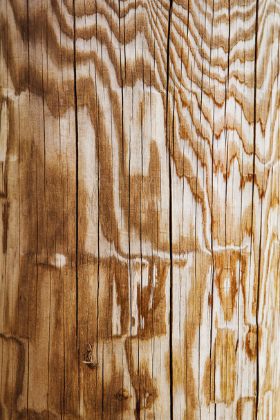 Panneau en bois texture de fond
 - Photo, image
