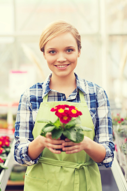 happy woman holding flowers in greenhouse - Фото, изображение