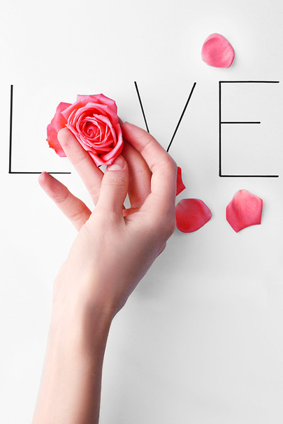 Inscription love with pink rose and hand - Foto, Imagem