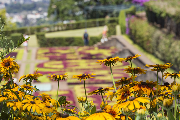 Berühmte tropische botanische Gärten in Funchal-Stadt, Insel Madeira - Foto, Bild