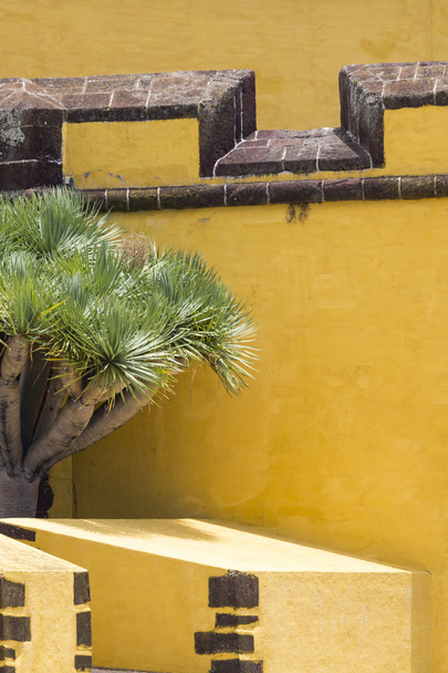 Фуншал з замку Сан Тьягу, Мадейра (Португалія) - Фото, зображення