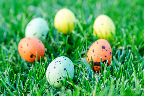 multicolored easter eggs on green grass - Foto, Imagen