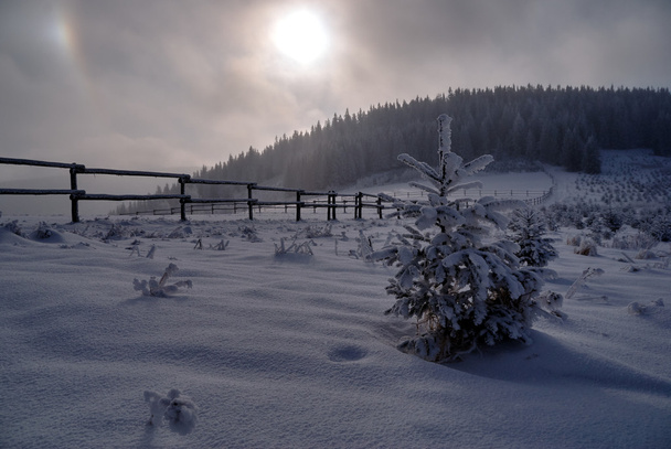 Beskidy Mountains içinde bulutlu bir günde kış aylarında çayır Malorka - Fotoğraf, Görsel