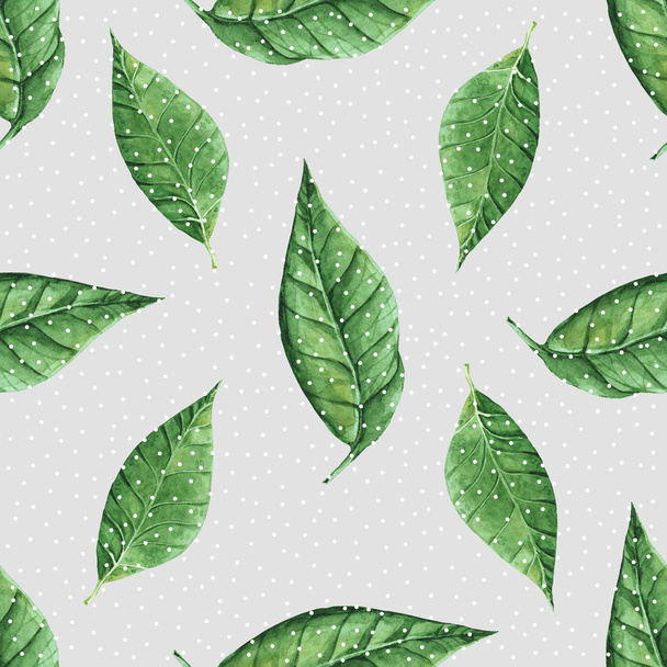 акварель листя візерунком
 - Фото, зображення