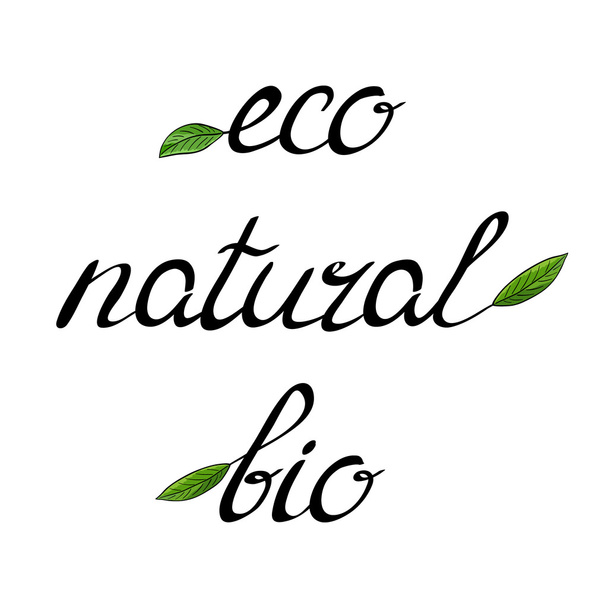 Handwritten words eco, bio, natural - Vetor, Imagem