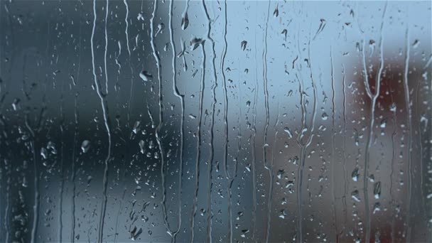 Gocce di pioggia scorrono lungo un vetro della finestra e un albero trema nel vento
 - Filmati, video