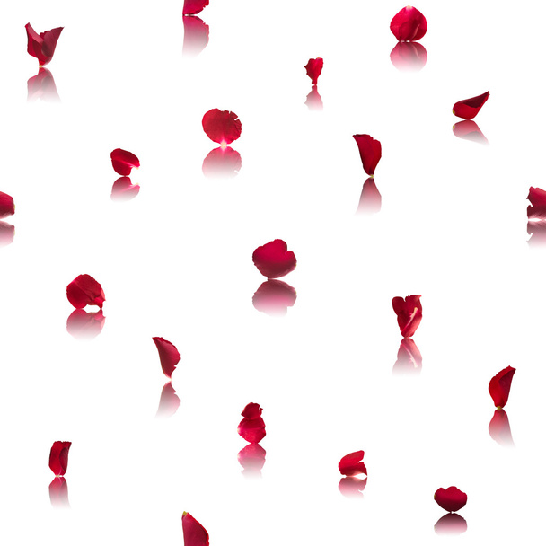 Pétalos de rosa roja sin costuras en el espejo
 - Foto, Imagen