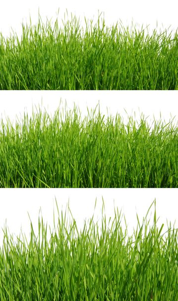Тло зеленої трави
 - Фото, зображення