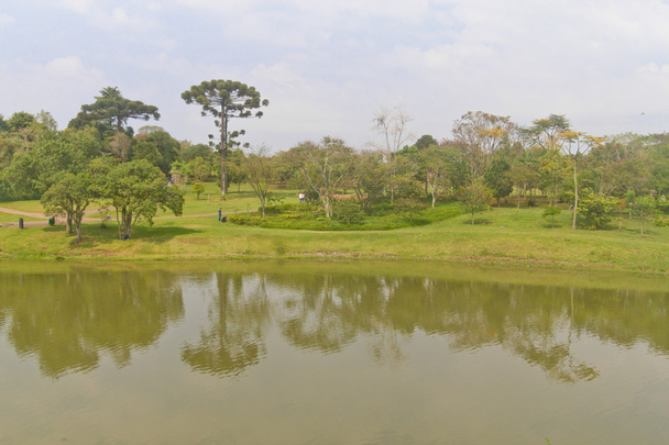 Lac au jardin botanique de Curitiba, Parana, Brésil
 - Photo, image