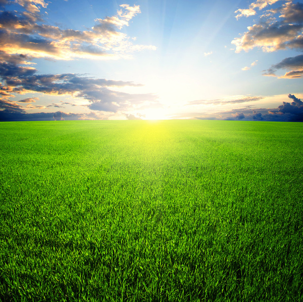 groen veld en lucht - Foto, afbeelding