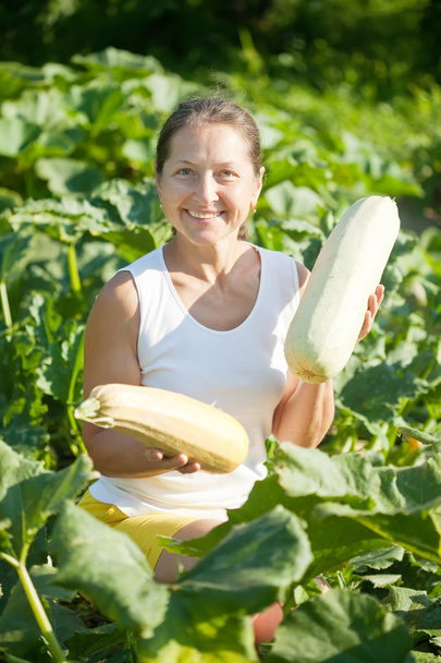 Woman picking vegetable marrow - Foto, imagen