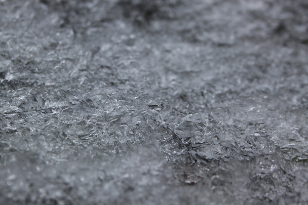 Заморожені на землі
 - Фото, зображення