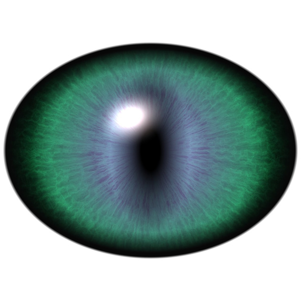 Зеленый глаз животного с большим зрачком и яркой сетчаткой. Темно-зеленый ирис вокруг щенка, детальный вид в луковицу глаза
. - Фото, изображение