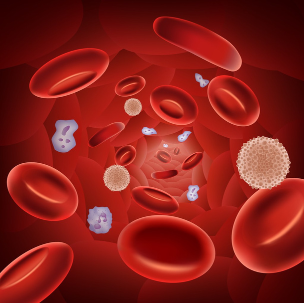 Illustration of red blood cells - Vector, Image