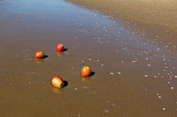 Cztery jabłka w wodzie na wybrzeże Morza Północnego - Zdjęcie, obraz