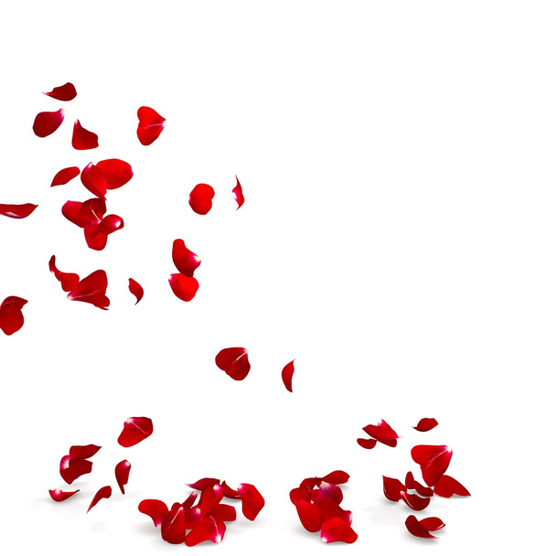Лепестки роз падают на пол
 - Фото, изображение