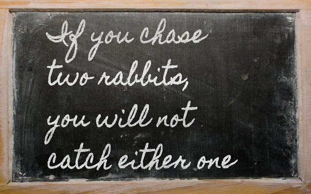 Expression - If you chase two rabbits, you will not catch eithe - Photo, Image