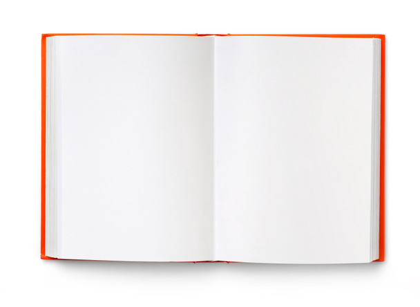 Libro abierto sobre fondo blanco - Foto, imagen