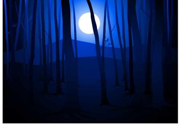 Dark Woods and Full Moon - Vector, Image