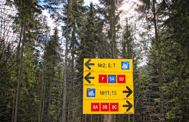 Direction sign of ski tracks - Foto, Imagen