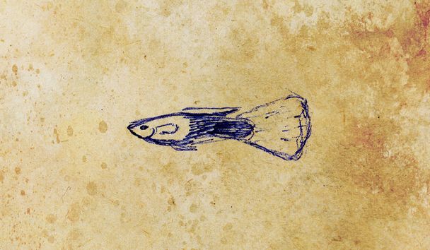 La penna che disegna pesci d'acquario su carta vecchia
. - Foto, immagini