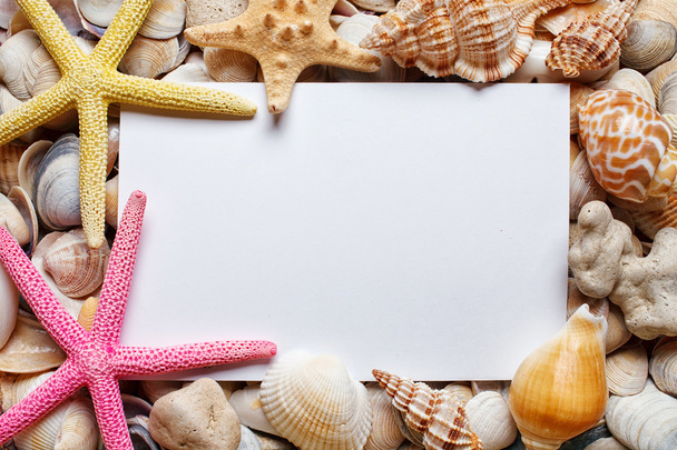 blank sheet of paper on sea Shell background - Фото, зображення