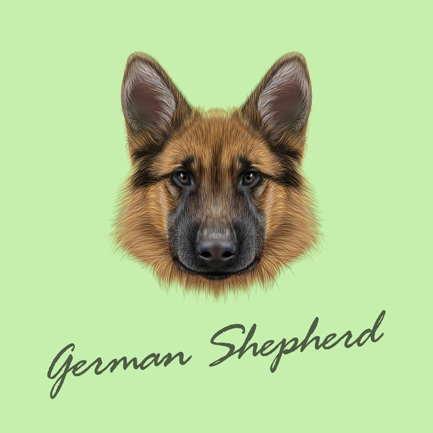 ドイツの羊飼い犬 - ベクター画像