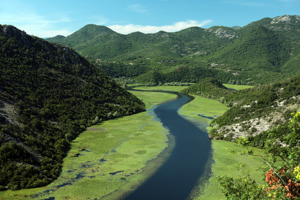Rijeka Crnojevica joki
 - Valokuva, kuva