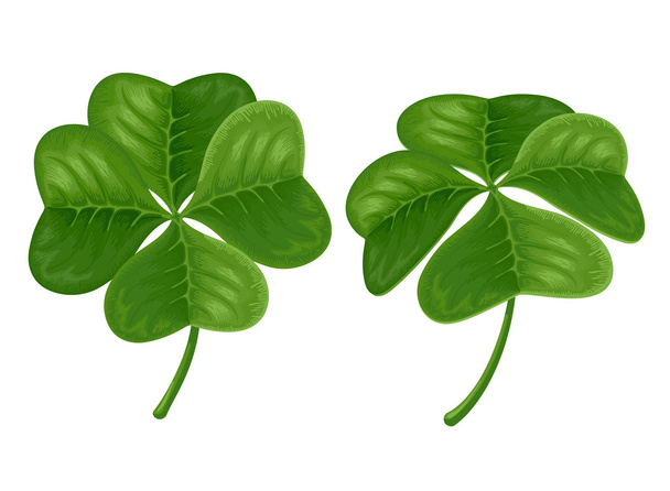Τέσσερα φύλλα πράσινο τριφύλλι απομονωθεί - Διάνυσμα, εικόνα