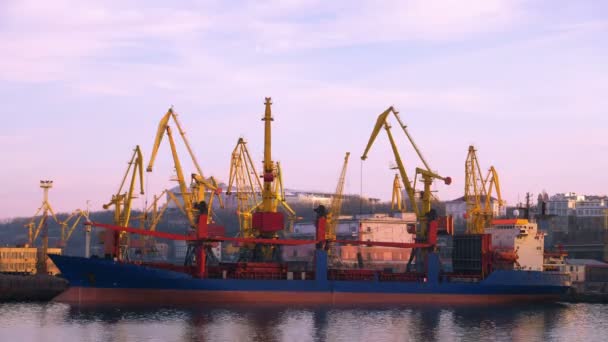 Námořní obchodní aktivity portů. - Záběry, video