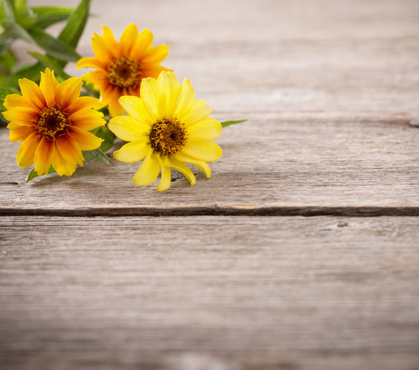 flowers on wooden background - Photo, image