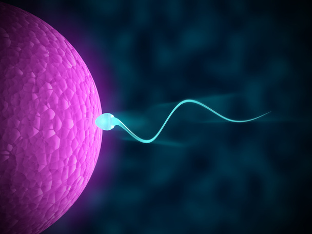 Sperm swimming towards the egg in a dark background - Photo, Image