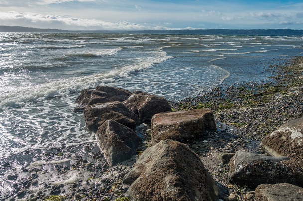 Windy Northwest Shoreline - Photo, Image
