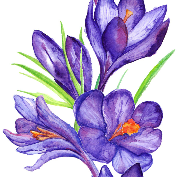 Watercolor violet purple crocus flower seamless pattern background - Foto, Imagem
