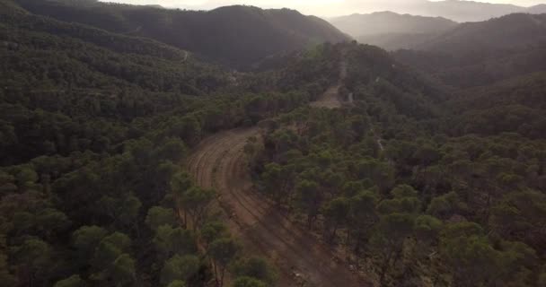 4 k 空中, アンダルシア州, スペインの林の上を飛んで - 映像、動画