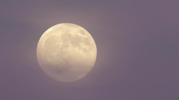 Luna piena incandescente
 - Filmati, video