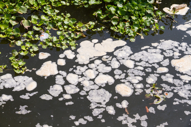 Industria de escoria tóxica sucia efluente de agua en el río
 - Foto, Imagen