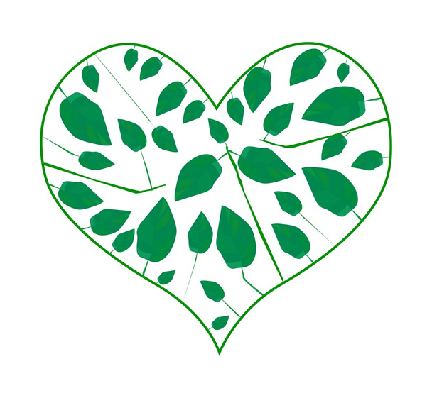 Абстрактне зелене листя у формі серця
 - Вектор, зображення