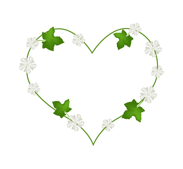 Fiore bianco e foglie in bella forma di cuore
 - Vettoriali, immagini