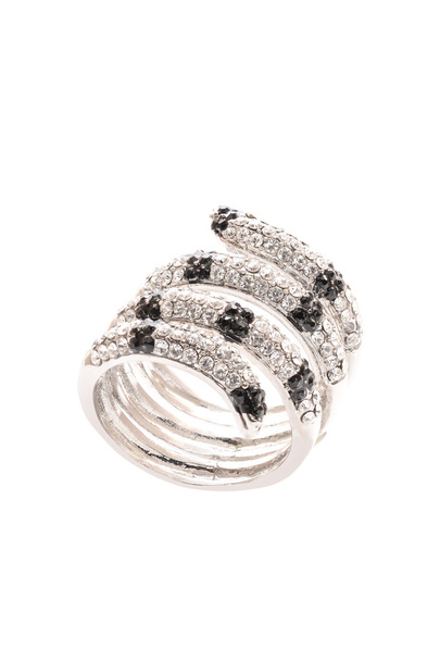 stříbrný prsten s hadem - Fotografie, Obrázek