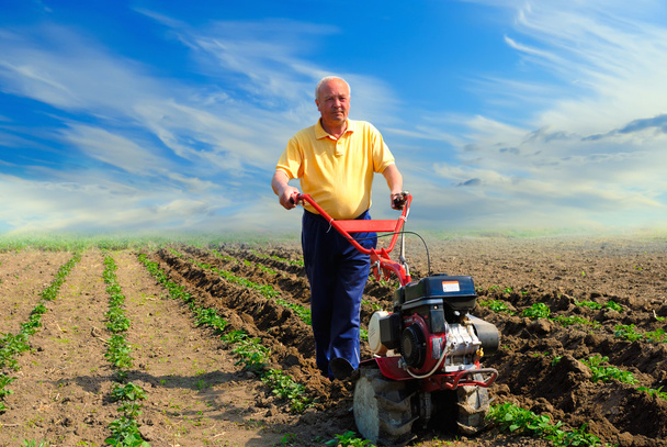 El hombre trabaja en el campo con la ayuda del cultivador de motor
 - Foto, imagen