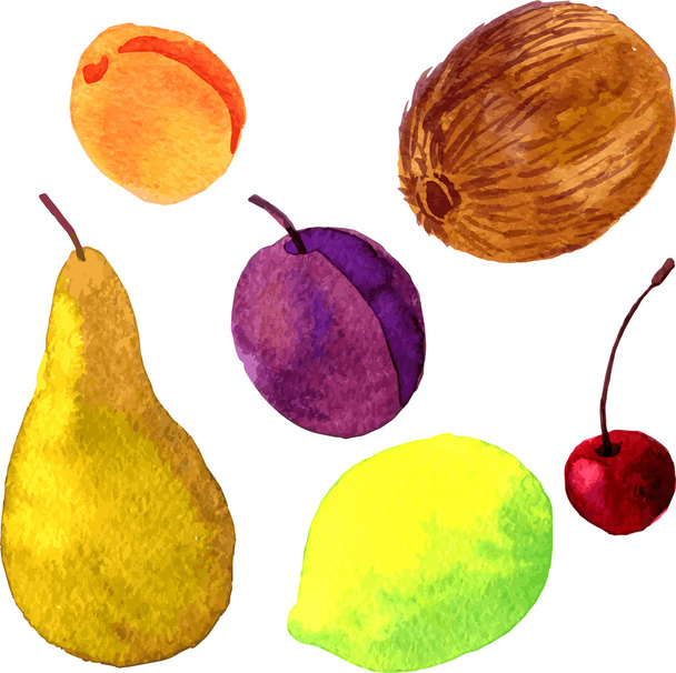 watercolor drawing fruits - Vetor, Imagem