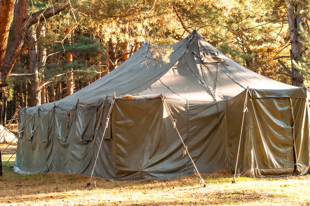 キャンプ、キャンプ、森緑のテント - 写真・画像