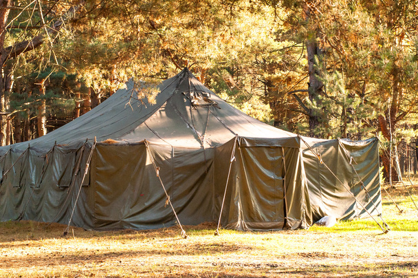 Zöld sátor, kemping, kemping, erdő - Fotó, kép