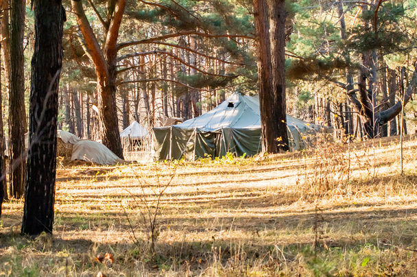 Tenda verde, campeggio, campeggio, bosco
 - Foto, immagini