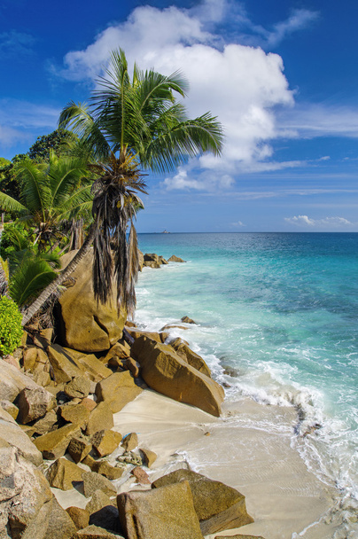 Spiaggia di Anse Patates, Isola di La Digue, Seychelles
  - Foto, immagini