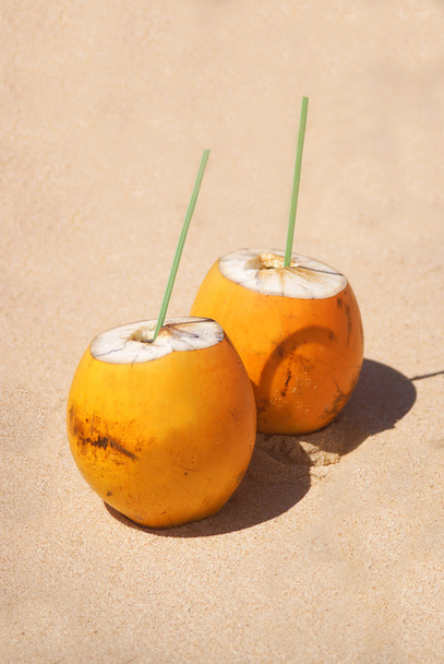 Dos cocos amarillos en la arena
 - Foto, imagen