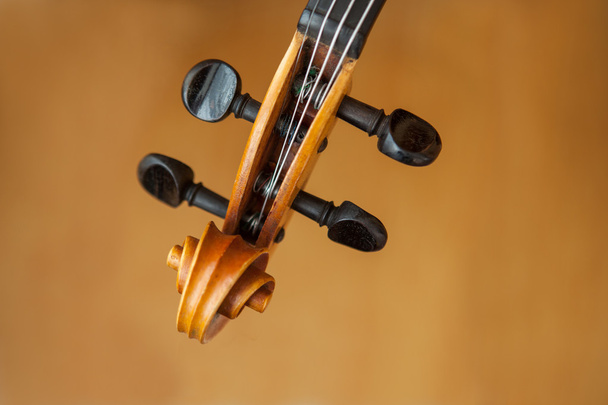 古いヴァイオリン音楽のコンセプト - 写真・画像