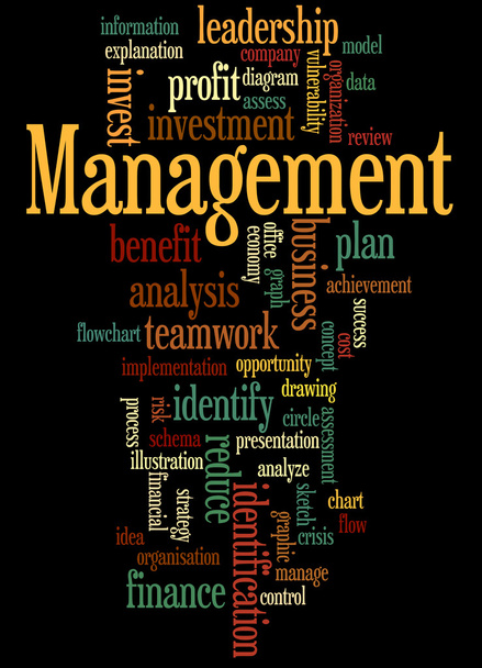Management, word cloud concept 5 - Photo, Image